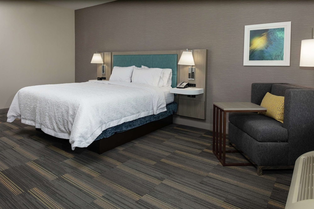 Room, 1 King Bed, Accessible (Roll-In Shower Mobility & Hearing) photo 2