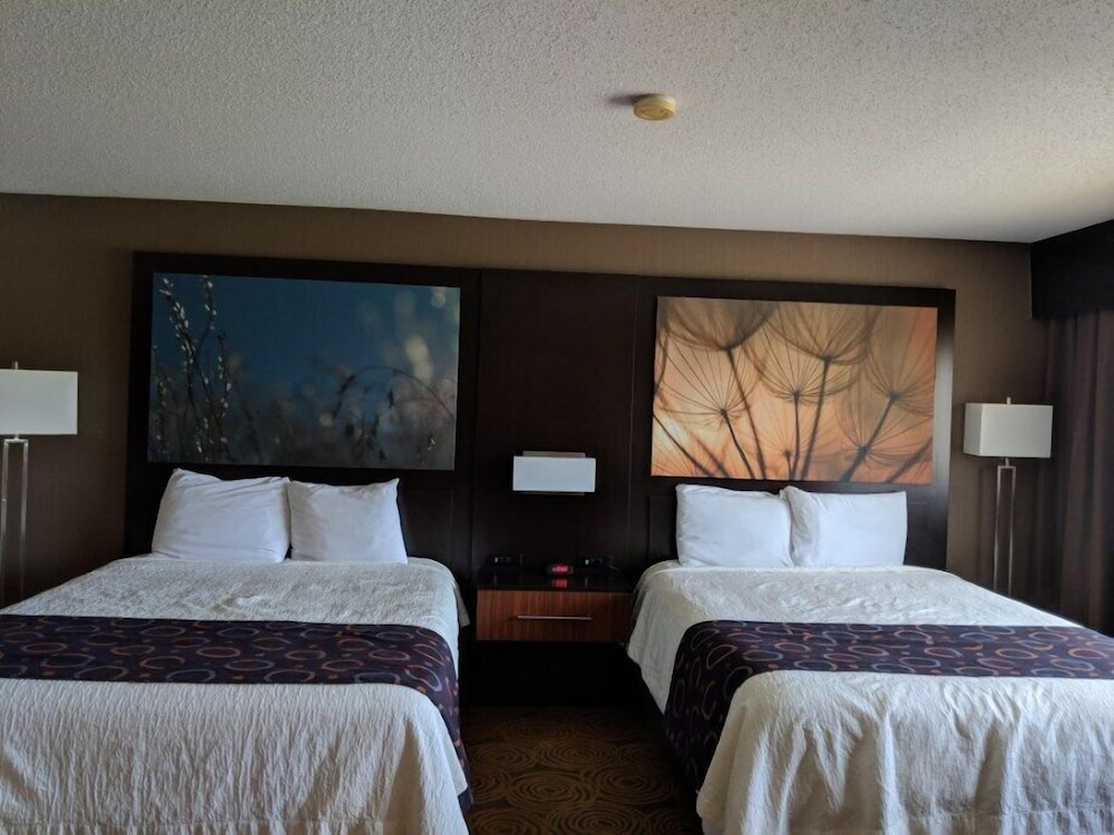 Double Queen Suite photo 2
