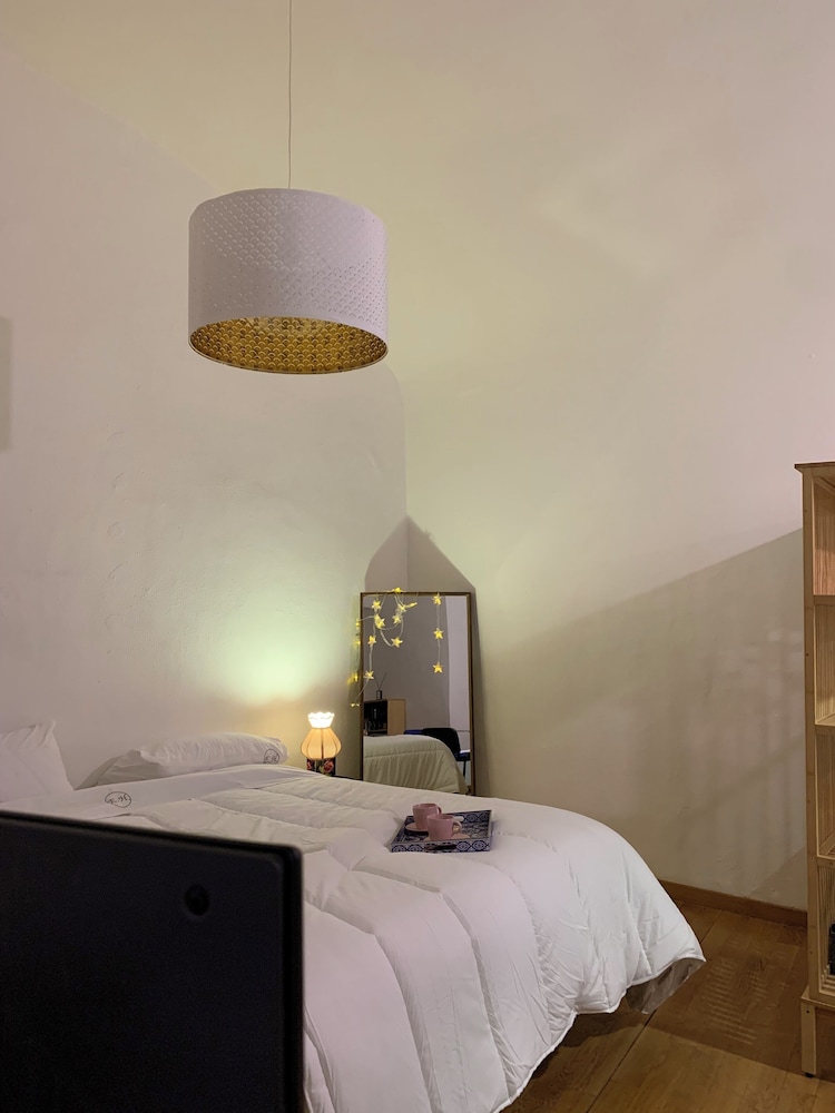 Basic Studio Suite