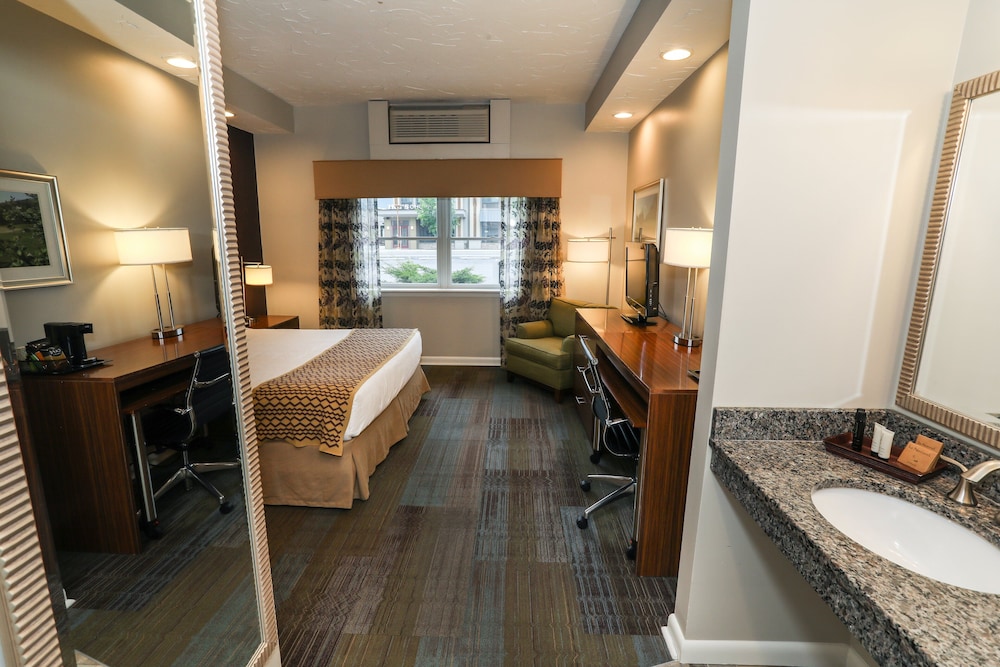 Room, 1 King Bed, Mobility Accessible (Alpine) - Photo 3