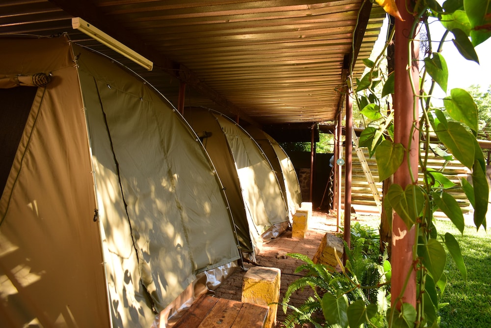 Dome Tent photo 1