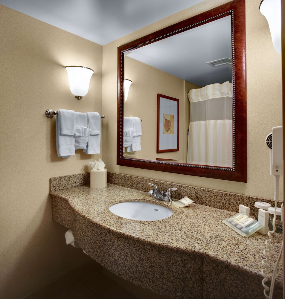 Room, 1 King Bed, Accessible - Photo 3