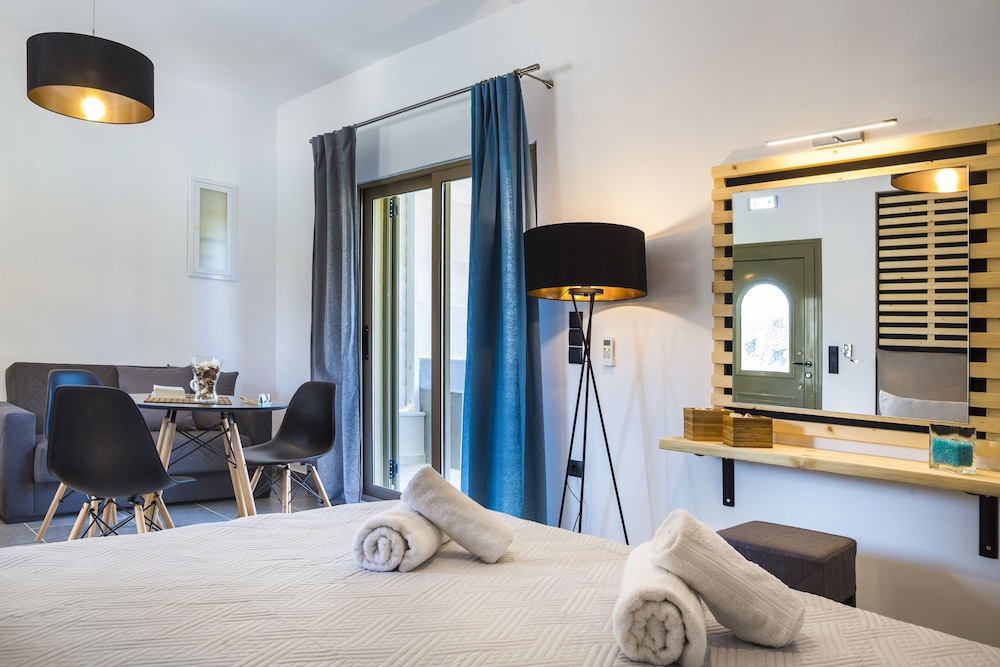 Deluxe Studio Suite, Private Pool photo 3