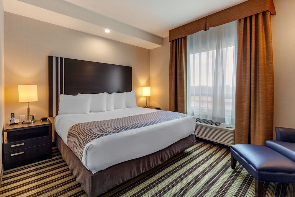 Standard Room, 1 King Bed, Accessible, Kitchenette (Kitchenette) photo 2