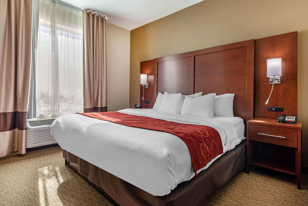 Studio Suite, 1 King Bed, Non Smoking