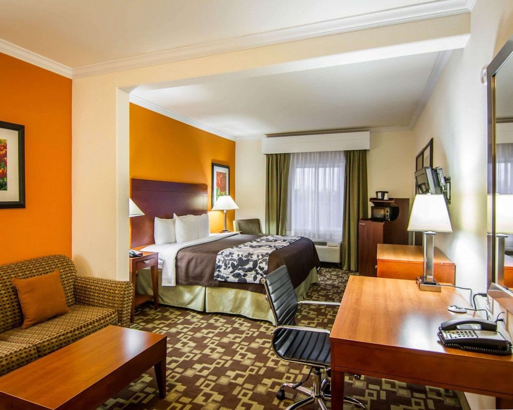 Suite, 1 King Bed with Sofa bed, Non Smoking - Photo 2