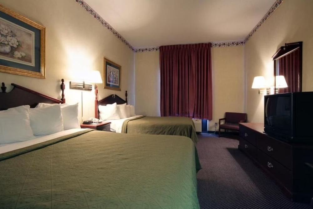 Suite - Photo 1