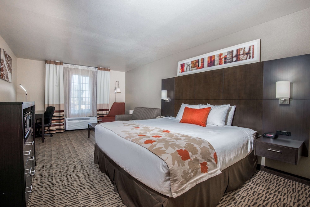 Room, 1 King Bed, Non Smoking - Photo 1