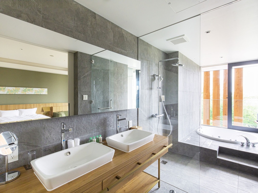 Basic Suite - Photo 19