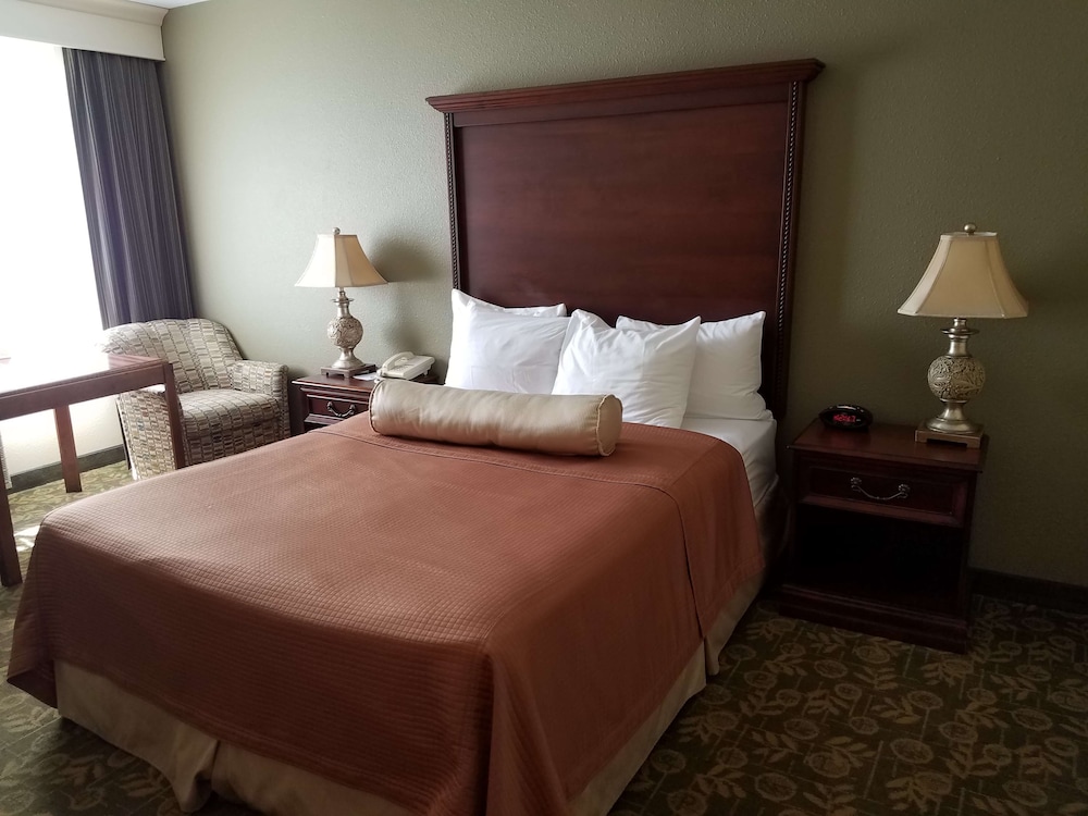 Standard Room, 1 Queen Bed, Accessible, Non Smoking (Pet Friendly)