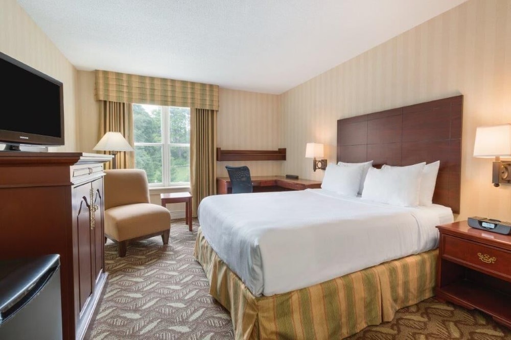Executive Room, 1 Queen Bed - Photo 1