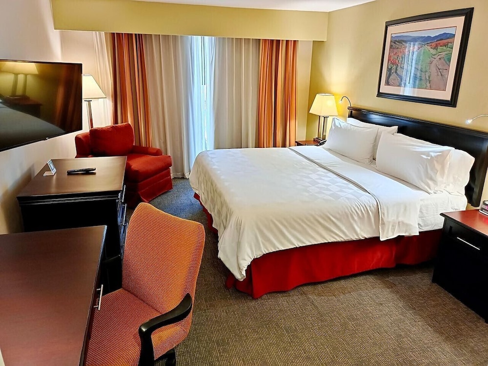 Premium Room, 1 King Bed, Club Lounge Access - Photo 2