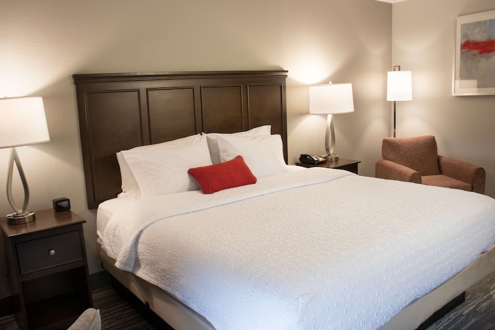 Room, 1 King Bed, Accessible - Photo 3
