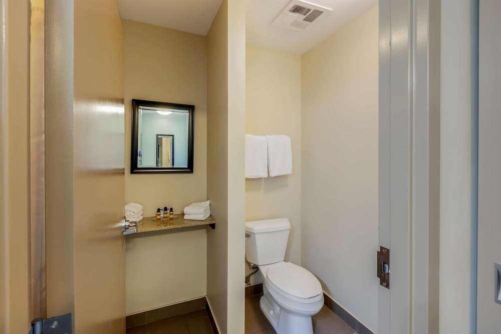 Suite, 1 King Bed, Non Smoking, Jetted Tub photo 3