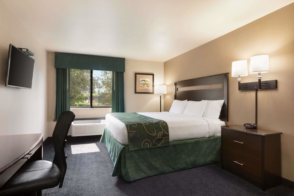 Room, 1 King Bed, Non Smoking photo 1