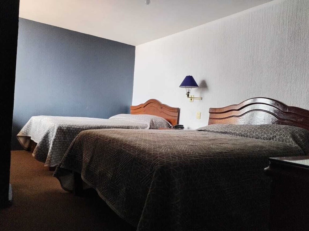 Room, City View photo 1