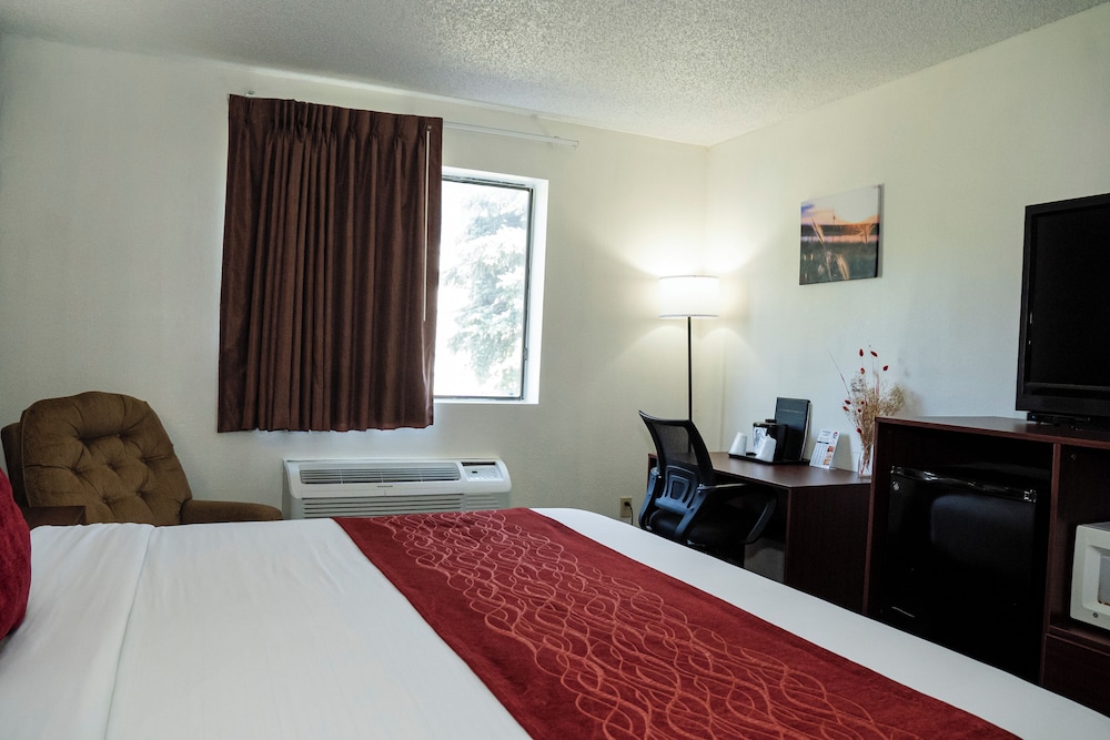 Comfort Single Room, 1 King Bed, Accessible, Non Smoking (42 inch TV) - Photo 4
