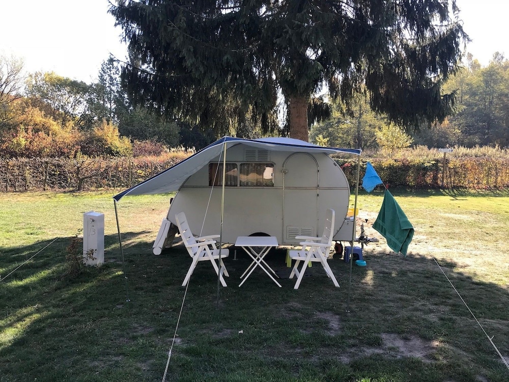 Basic Mobile Home, Garden View photo 3