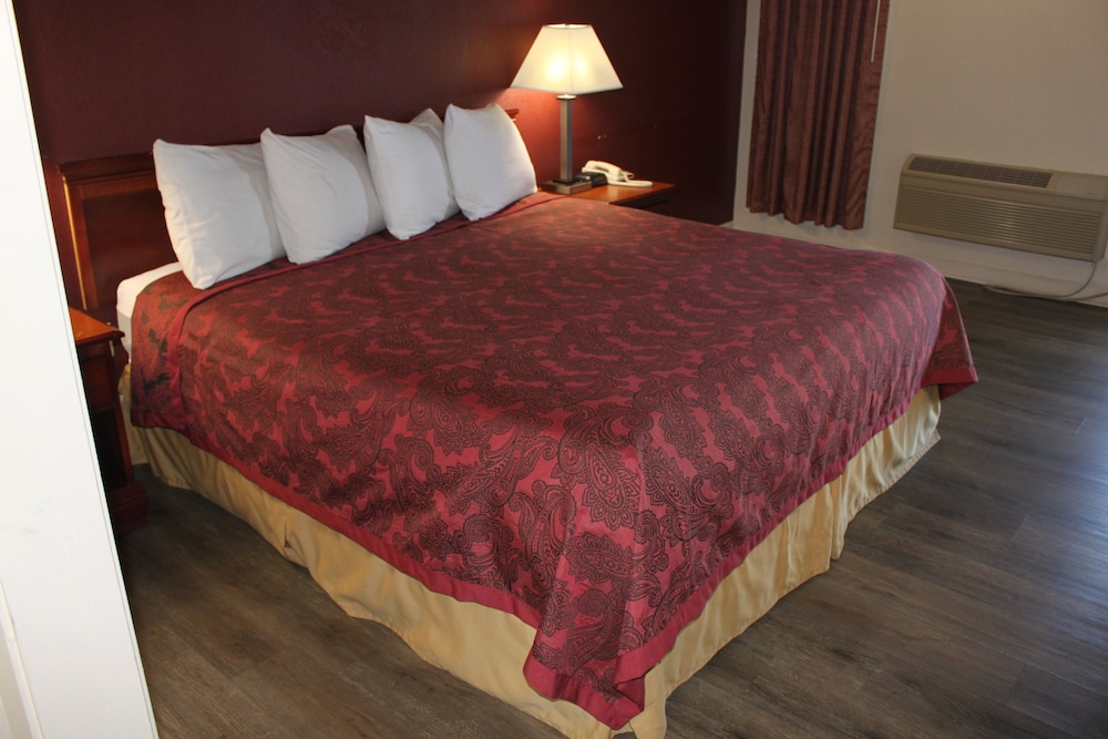 Standard Single Room, 1 King Bed, Accessible, Non Smoking - Photo 1