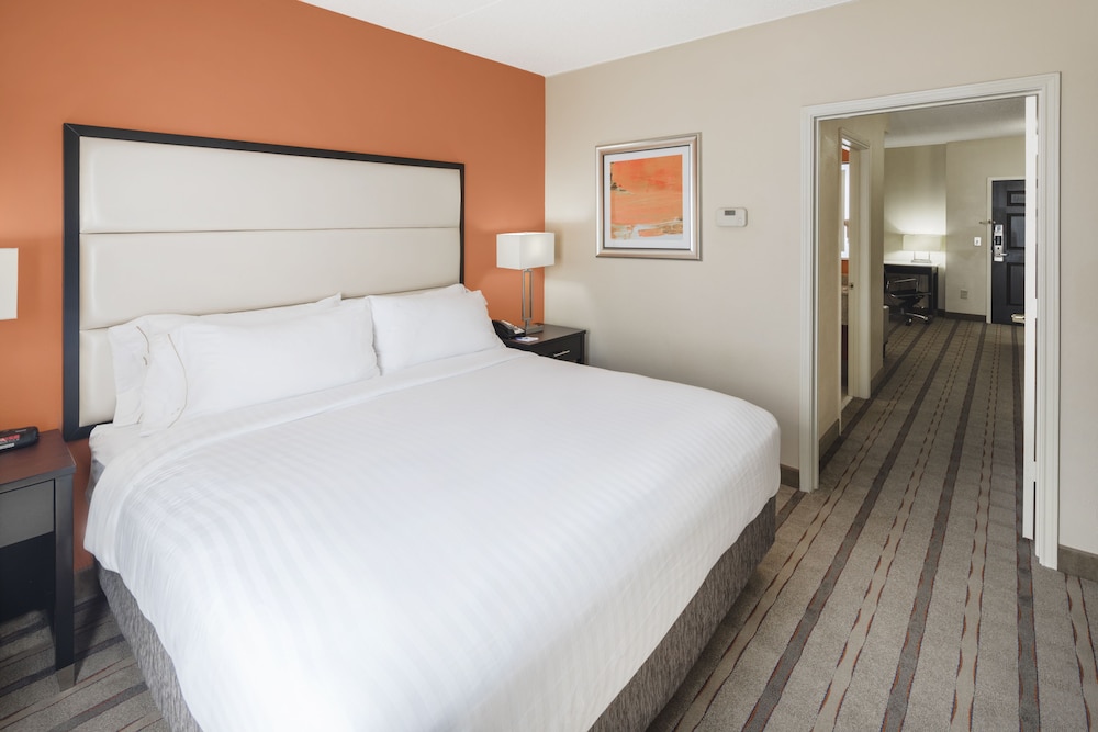 Suite, 1 Bedroom