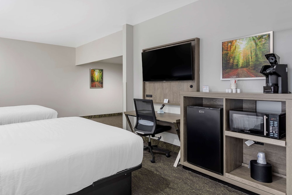 Standard Room, 2 Queen Beds, Accessible, Refrigerator & Microwave photo 3