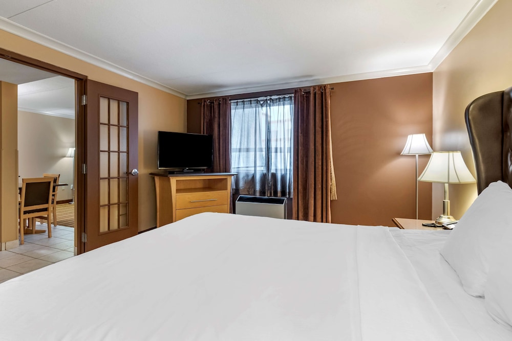 Suite, 1 King Bed, Non Smoking, Refrigerator & Microwave (with Sofabed) photo 2