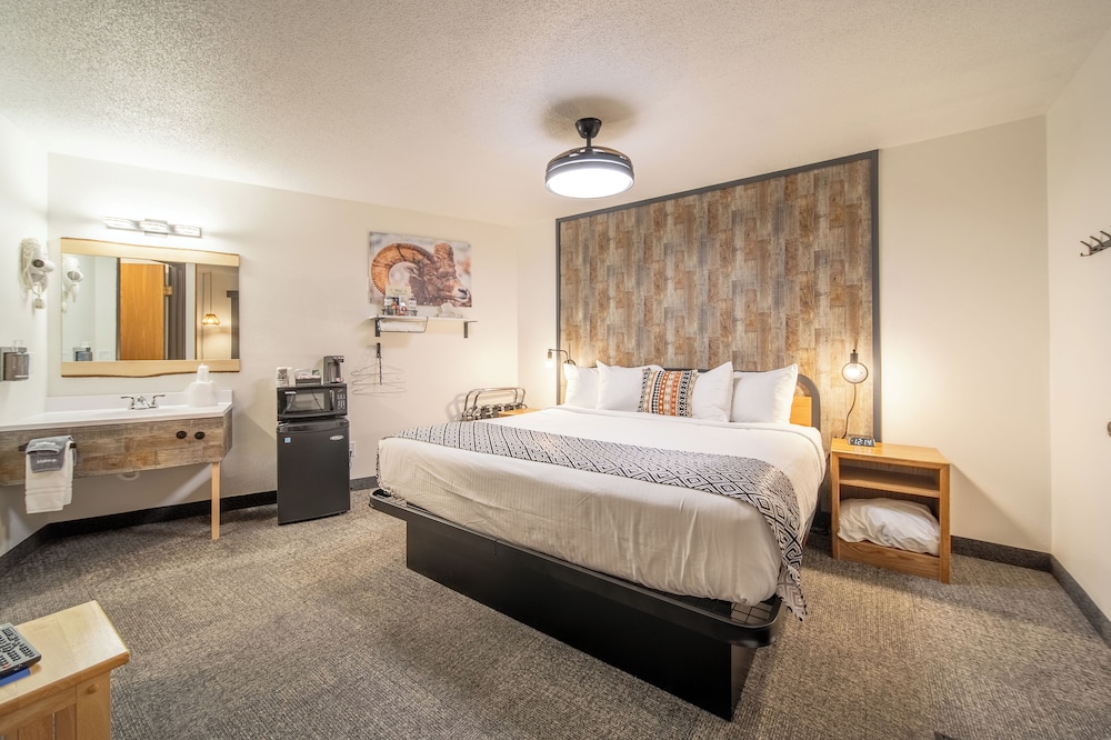 Room Single King, Ground Floor, Dog-Friendly, No Smoking