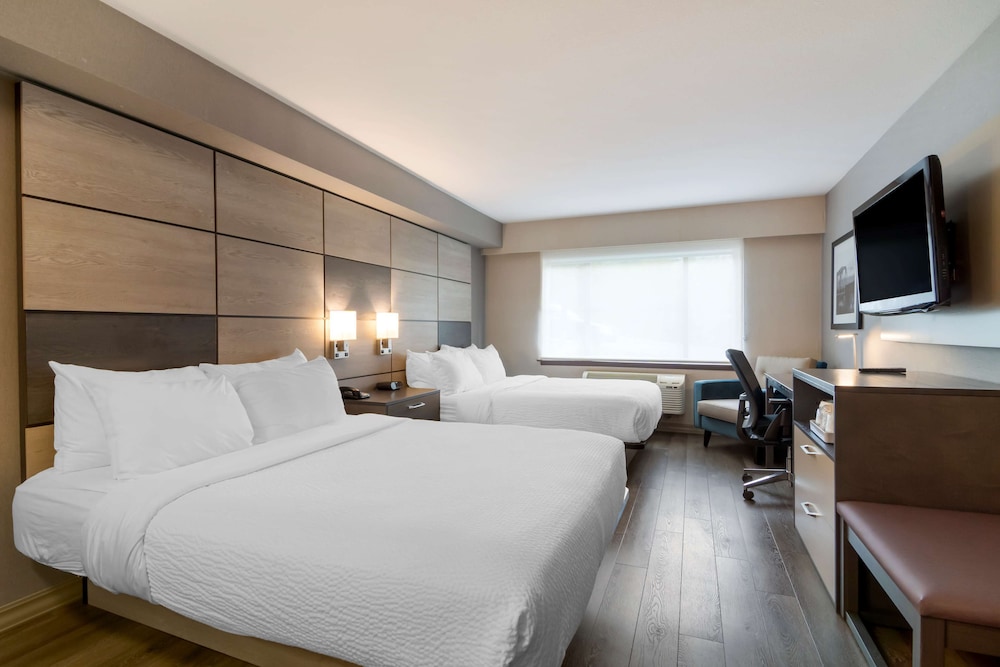 Standard Room, 2 Queen Beds, Non Smoking, Refrigerator & Microwave - Photo 3