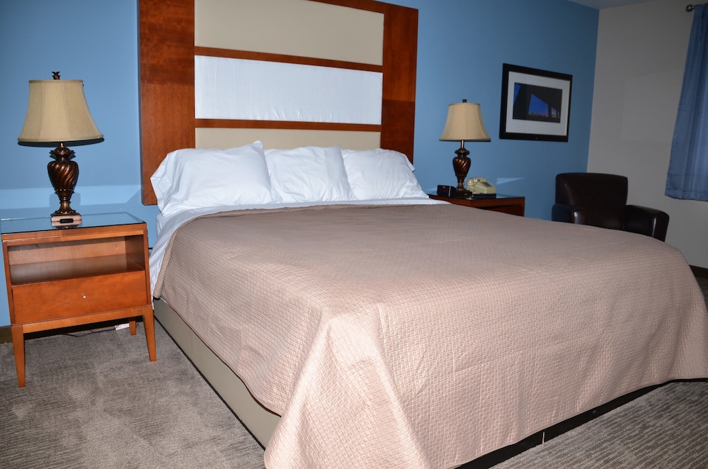 King Room photo 1