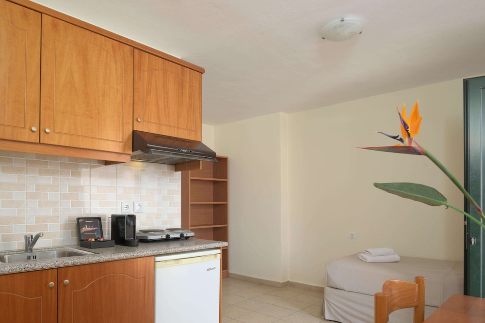 Apartment, 1 Bedroom, Garden View - Photo 4
