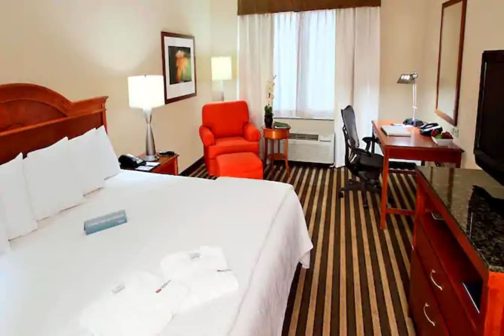 Standard Room, 1 King Bed, Accessible (Roll In Shower) - Photo 4