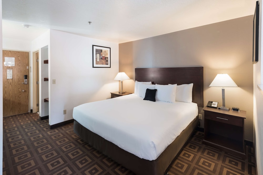 Suite, 1 King Bed, Kitchen - Photo 2