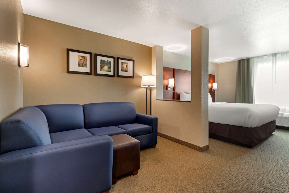 Standard Suite, 1 King Bed with Sofa bed, Non Smoking - Photo 7