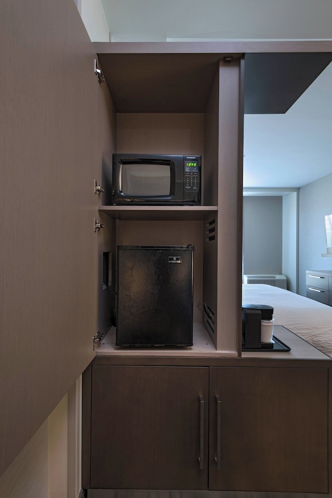 Suite, 1 Bedroom - Photo 15