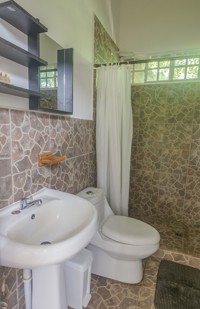 Premium Studio, 1 King Bed, Terrace with HOT WATER photo 3