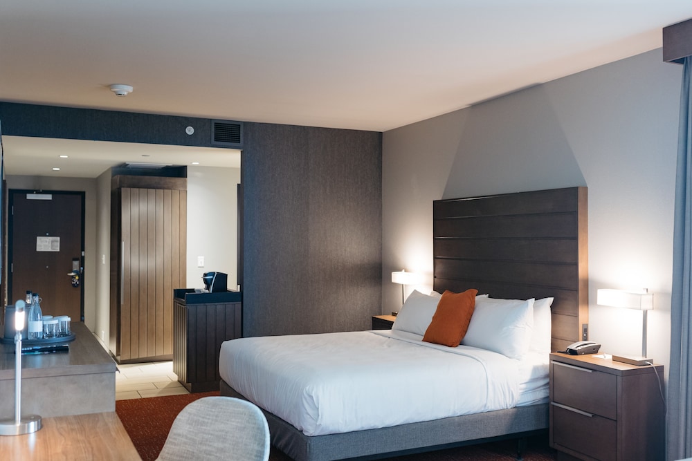 Studio Suite, 1 King Bed, Accessible (Roll-In Shower) - Photo 3