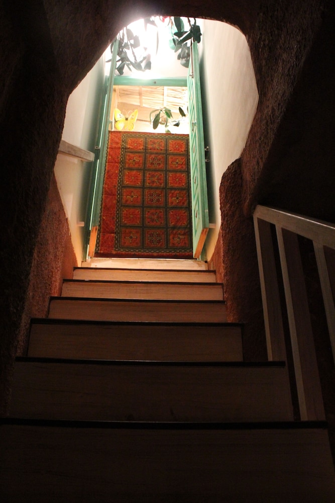 Luxury Tree House photo 3