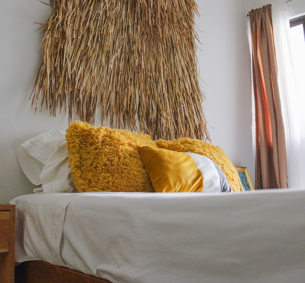 Dream Room Xochimilco pedestria patio r1 photo 1