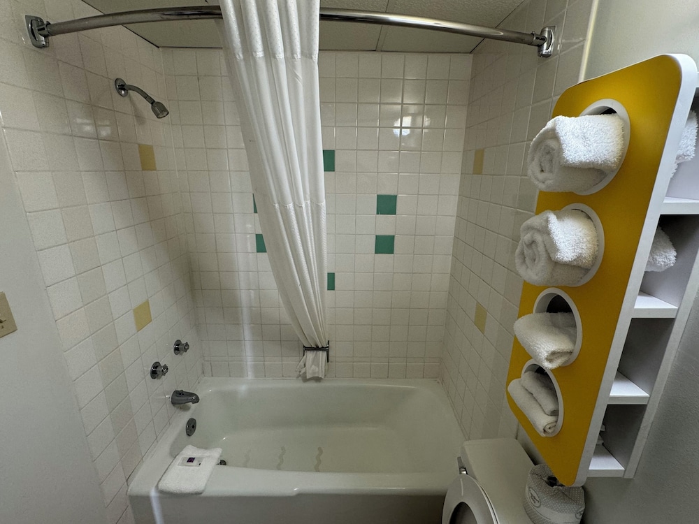 Deluxe Suite, 1 King Bed, Non Smoking, Refrigerator & Microwave - Photo 8