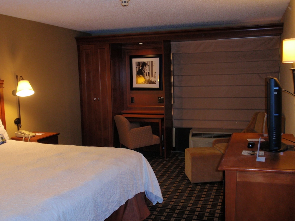 Room, 1 King Bed, Accessible, Non Smoking (Mobility,Hearing,Tub w/Grab Bars) - Photo 3