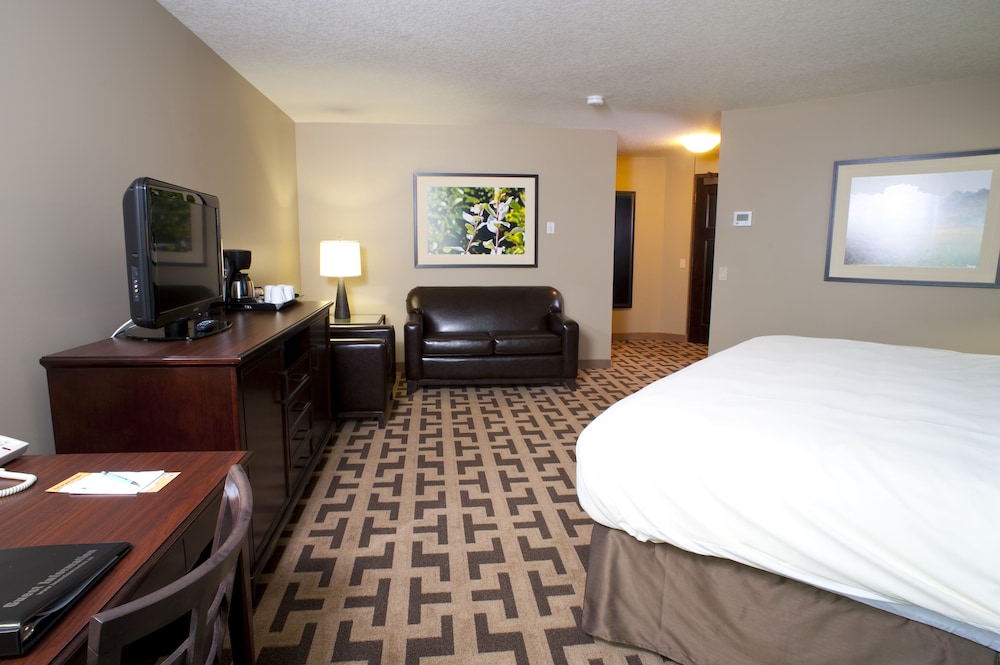 Junior Suite, 1 King Bed photo 3