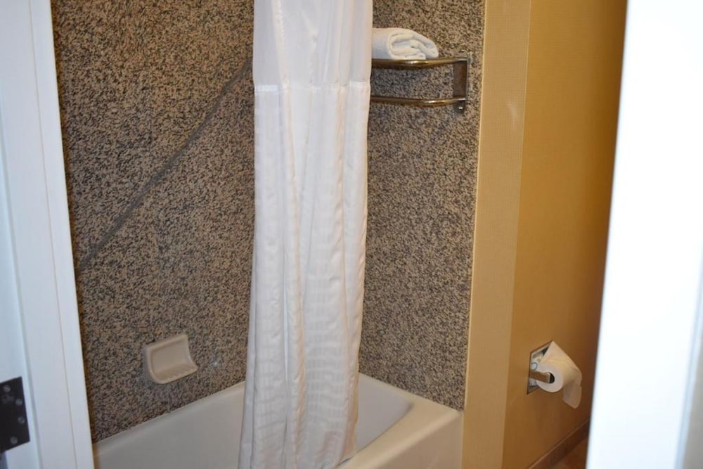 Deluxe Suite, 1 King Bed, Non Smoking - Photo 5