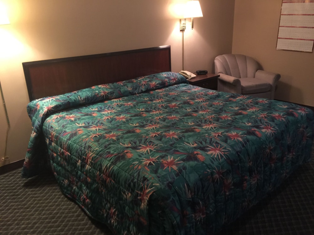 Room, 1 King Bed, Non Smoking, Refrigerator & Microwave