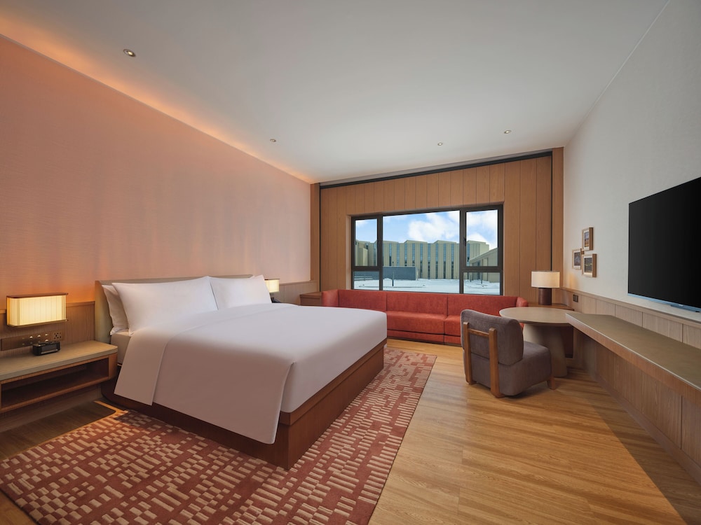Basic Room, 1 King Bed
