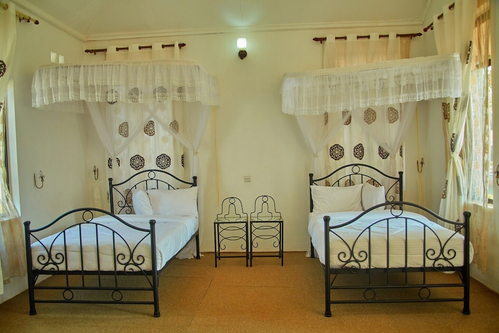 Comfort Double or Twin Room photo 1