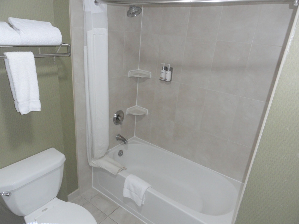 Suite, 1 King Bed - Photo 9