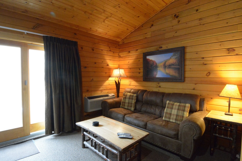 C 44-Grand Cabin, 1 King Bed with Sofa bed, Kitchenette, Mountain View photo 3