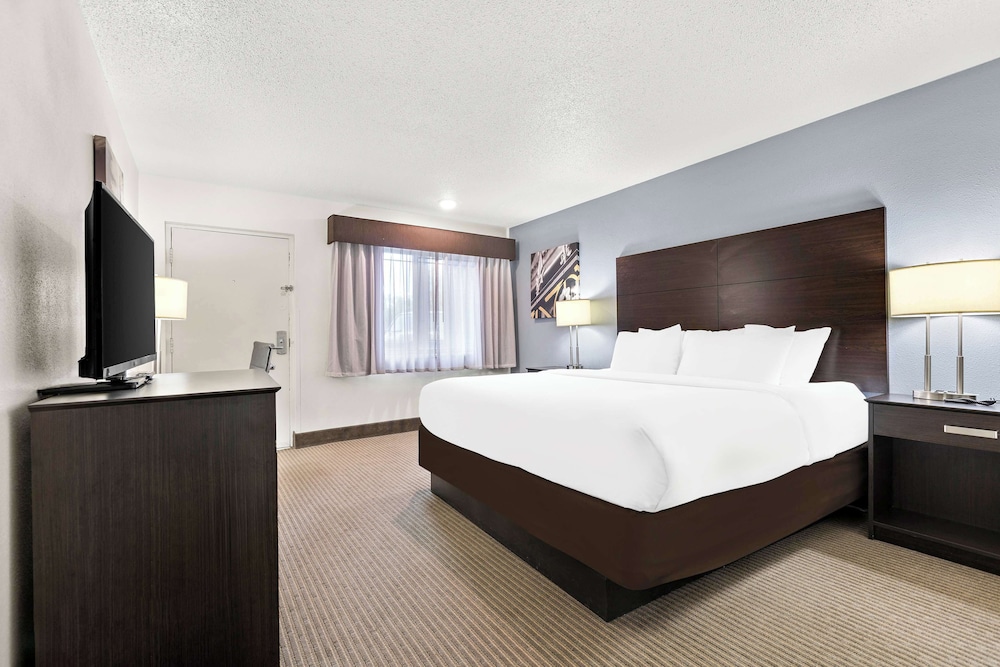 Standard Room, 1 King Bed, Accessible, Non Smoking - Photo 1