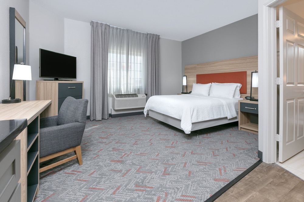 Studio Suite - Photo 1