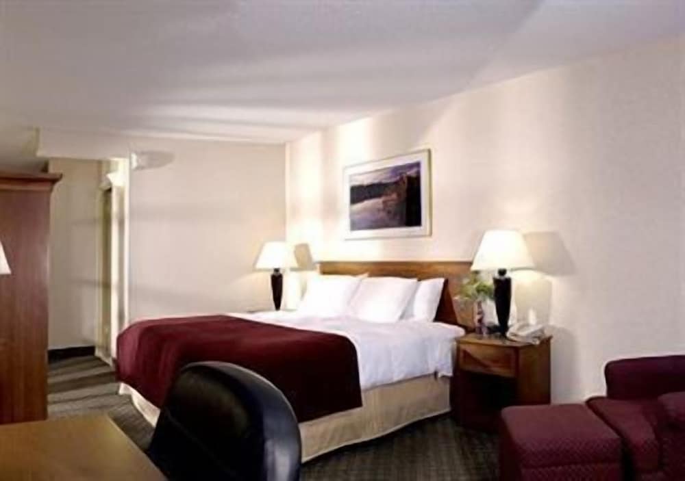 Single Queen Room photo 3